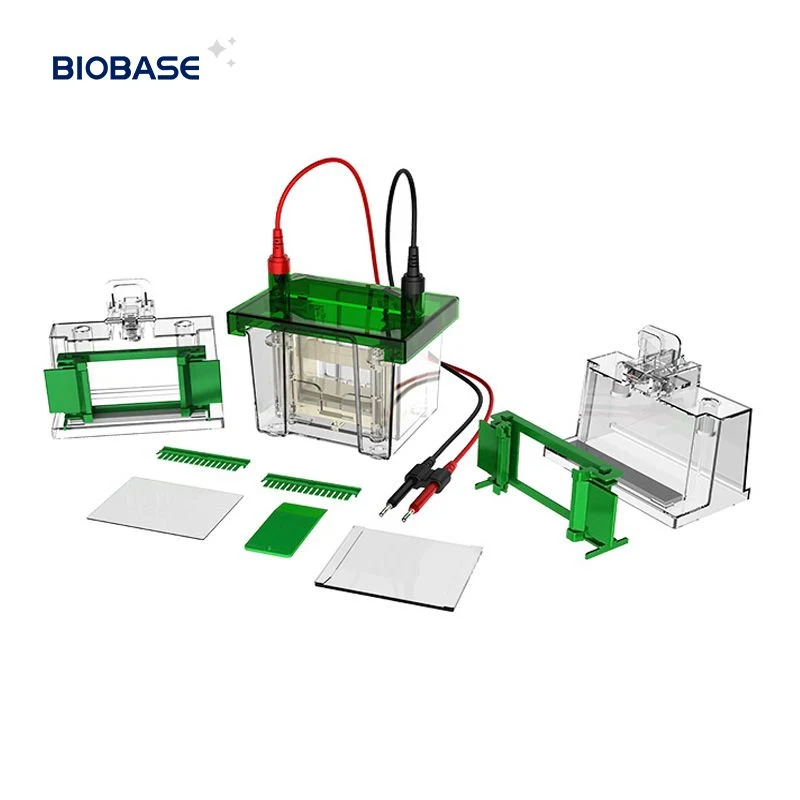 Biobase Vertical Electrophoresis Tank Apparatus Power Supply for Gel Electrophoresis