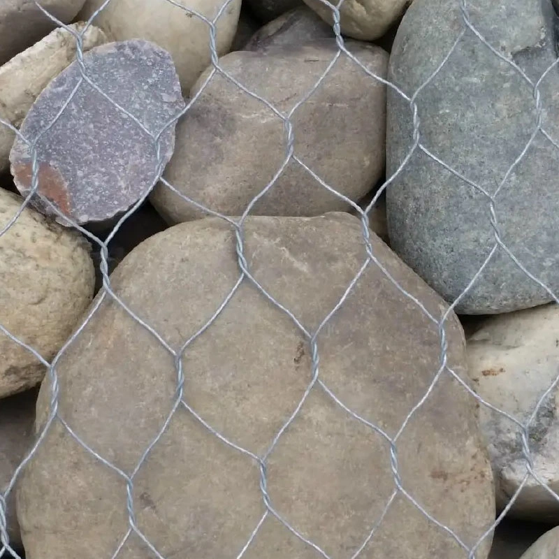 China Wire Mesh Factory PVC revestido ou galvanizado Hexagonal Wire Malha