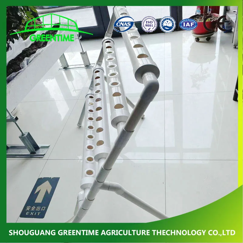 2021 Indoor Irrigation and Nft Hydroponics Growing Equipment DIY Easy to Install From China Supplier