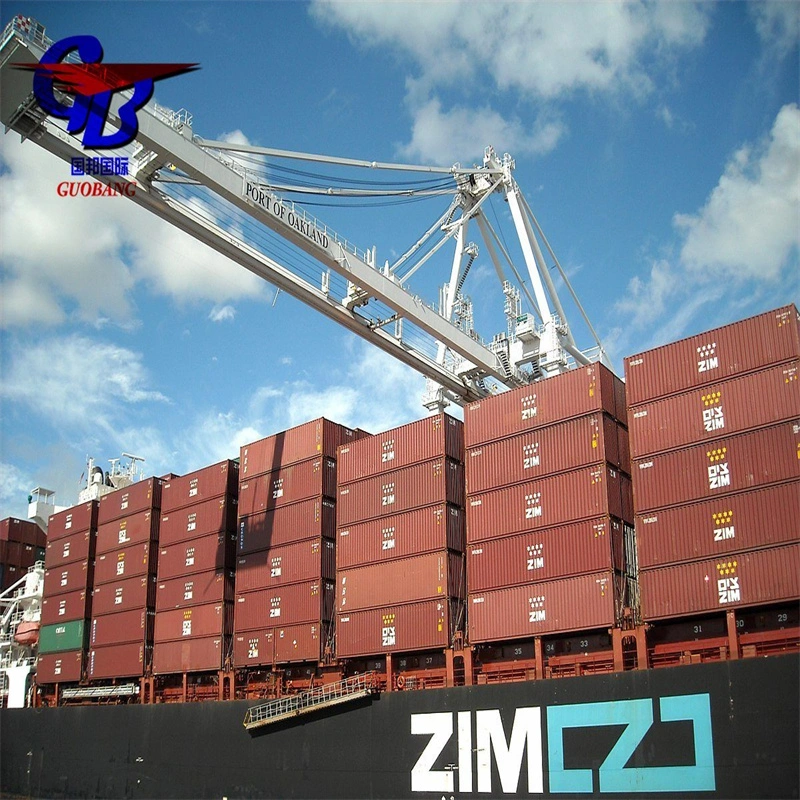 20gp/40gp/40hq/45hq Container International Logistics to USA