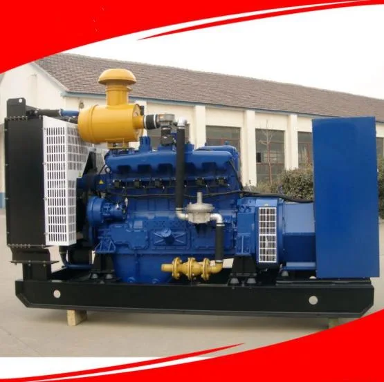 600kVA/660kw Gas Generator Pig Farm Manure Landfill Gas Biogas Farm Backup Power Generator