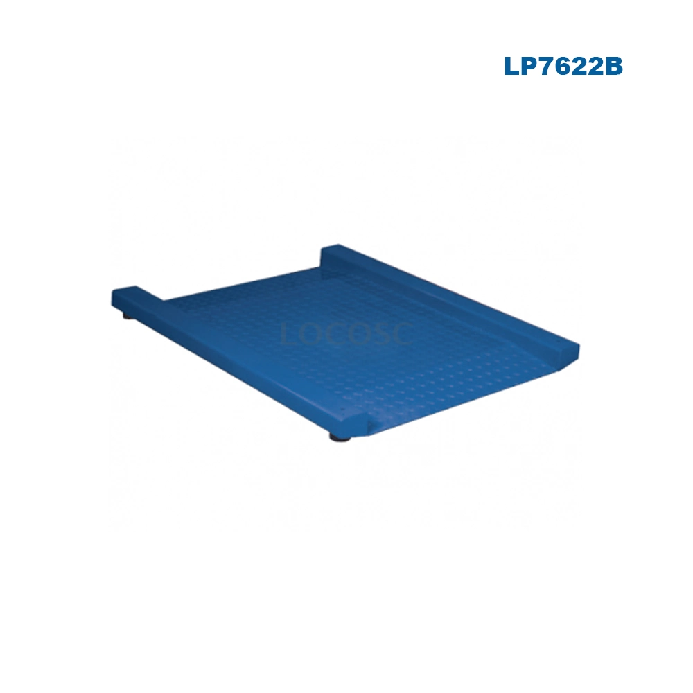 Ningbo Factory Price Electronic Digital Platform Weighing Floor Scale with Ramp