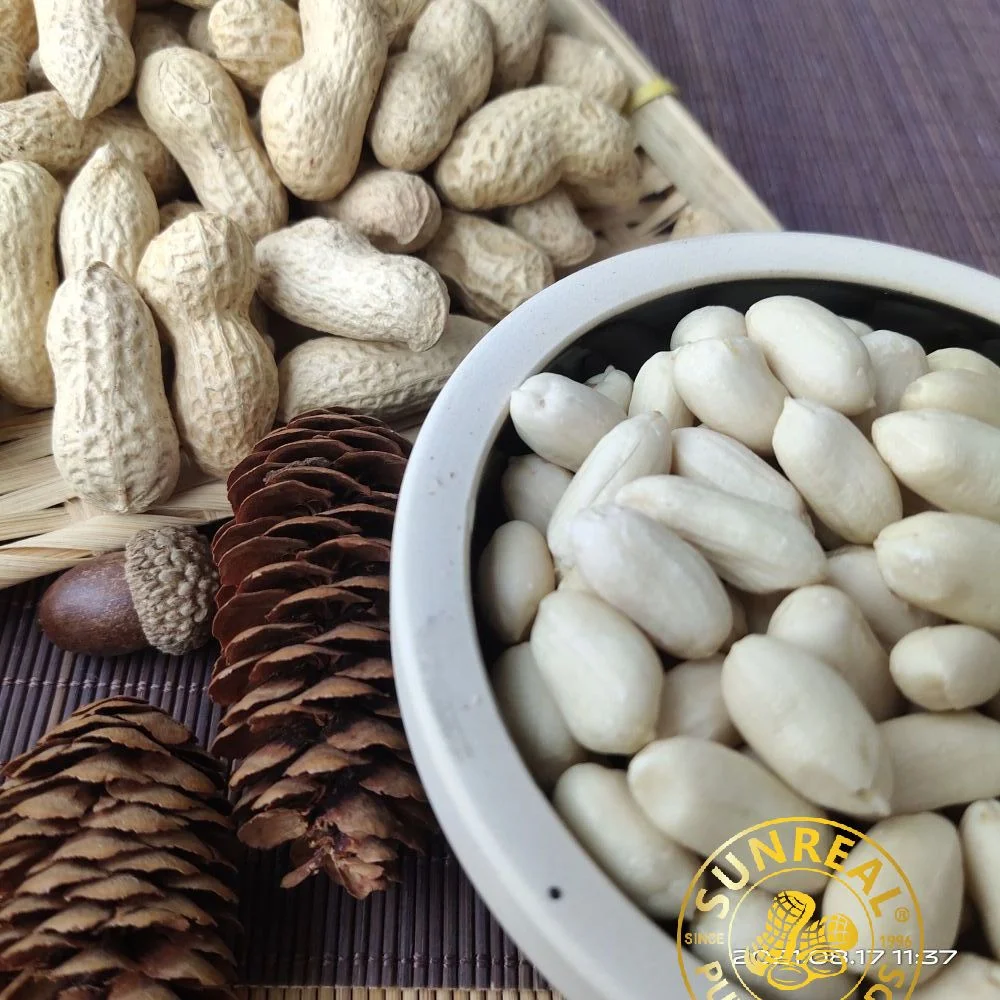Pukee/Raw Blanched Peanut Kernels/Virginia/Quality Assurance/Best Materials