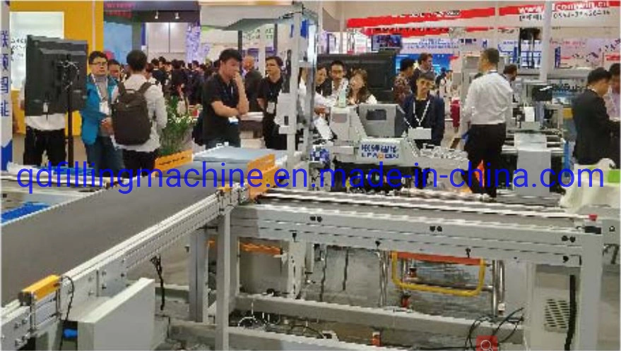 Quick Linear Logistic Express Parcel Sorting Machine Dws System