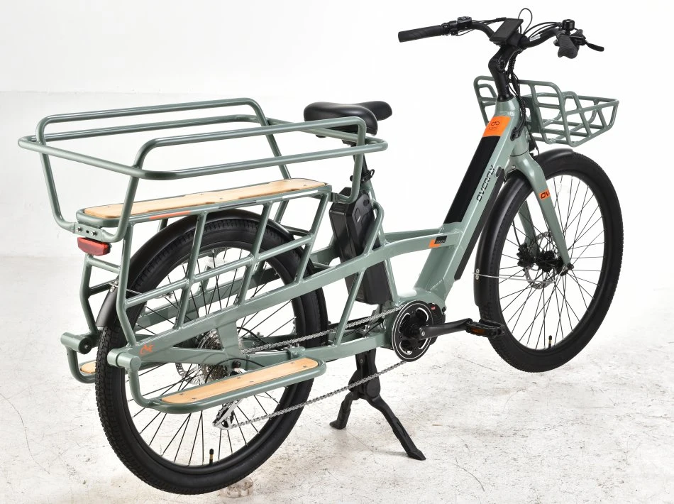 36V 250W/48V 500W MID-Motor 26inch bicicleta eléctrica cargo