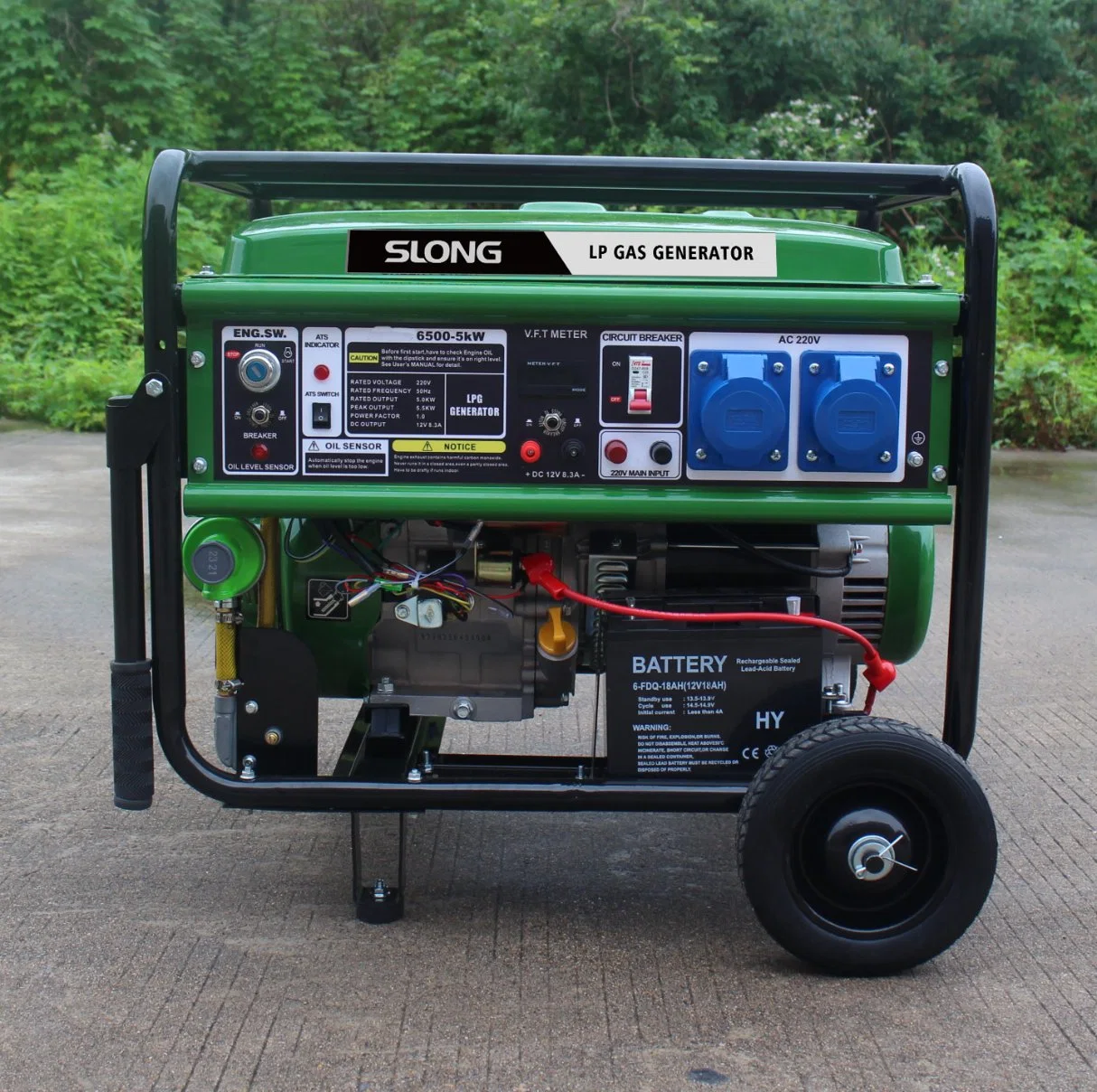 E. Slong Brand Electric Start 5kw LP Gasgenerator