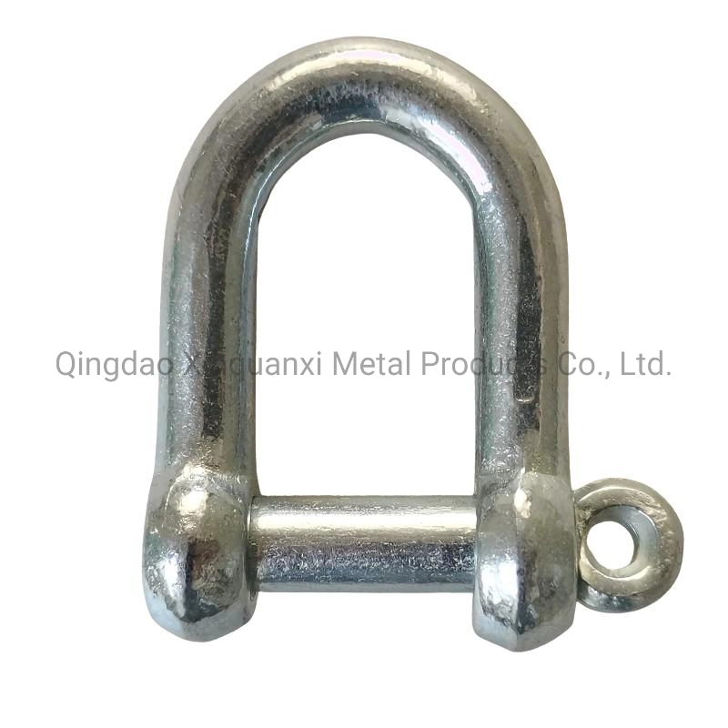 Factory Direct Supply Marine Lifting JIS Type D Shackle Galvanized or Stainless Steel EU Type Dee Shackle