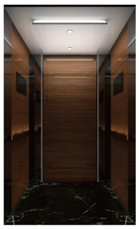 Villa de madera Residencial Home Observación de pasajeros Ascensor para edificio moderno Piezas del elevador