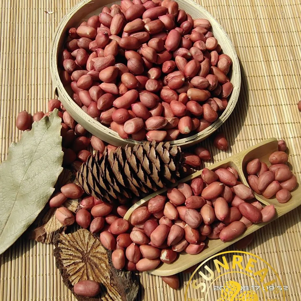 Raw Peanut Kernels/Red Skin/Quality Assurance/All Size/Pukee Foods/Sunreal/Fine Packing