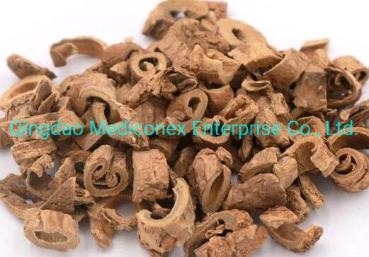 L'écorce de racines Peroploca Sepium Herb de matières premières traditionnelles préparés Chinese Herbal Medicine Botanical Herb expulser de l'humidité