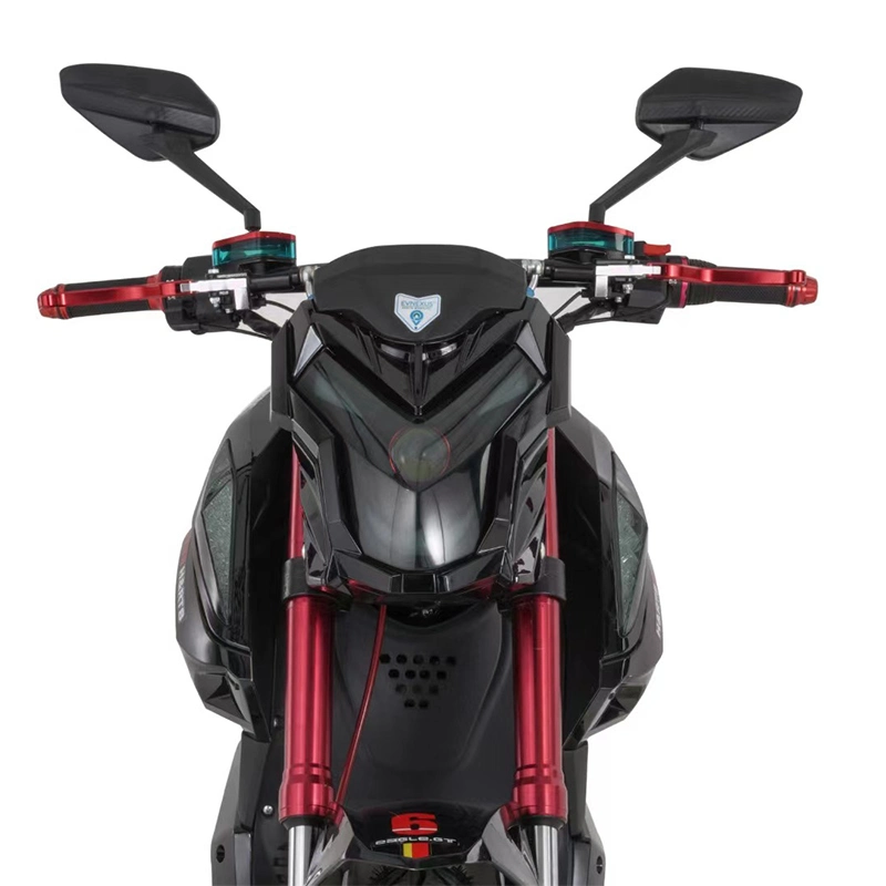 Certains modèles avec grande puissance et distance moto électrique / scooter / vélo 17 pouces 3 000 W haute vitesse et certification CEE