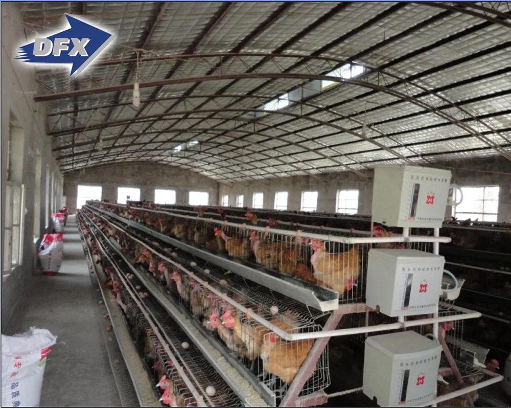 Automatic Galvanized Steel Frame Poultry Farm Design for Broiler Layer