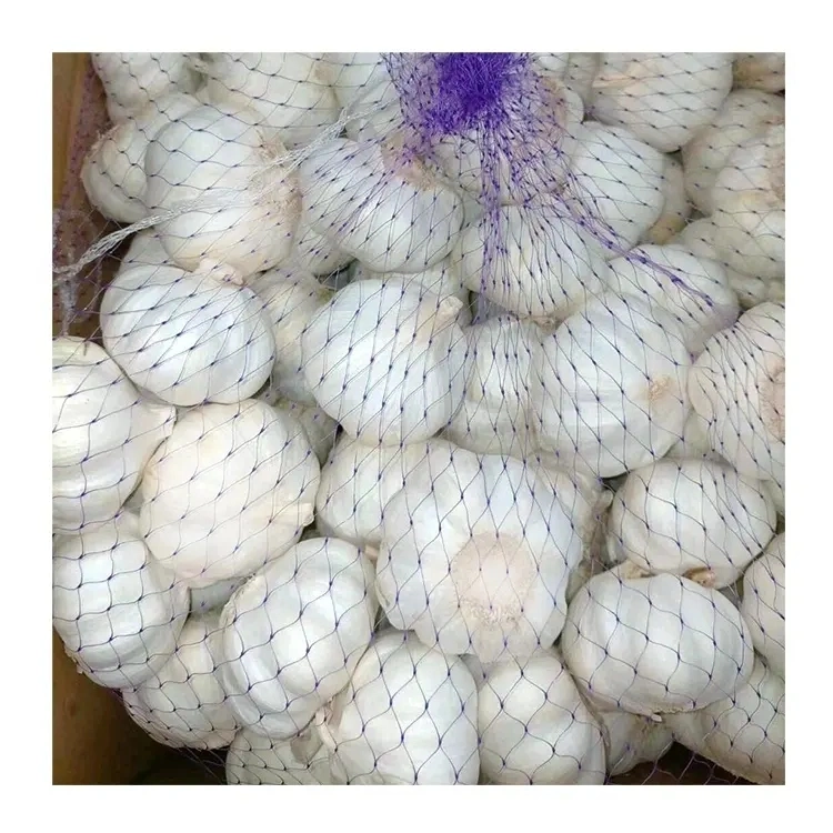 Ail chinois blanc neige ail de petit paquet 500g/700g/800g/1kg