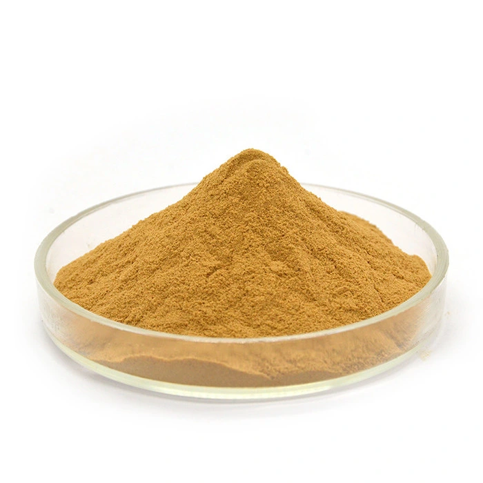 Natural Polysaccharides 20% 70% Astragaloside IV 0.5% Astragalus Root Extract with ISO22000 Certificate
