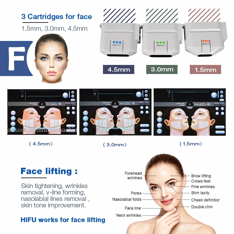 CE/FDA/RoHS Facial Body Weight Loss Beauty Equipment