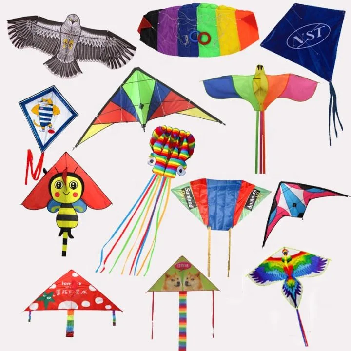 Original Factory Direct Sales Promotion Gift Stunt kites Outdoor Camping Kite voadora de acrobacias