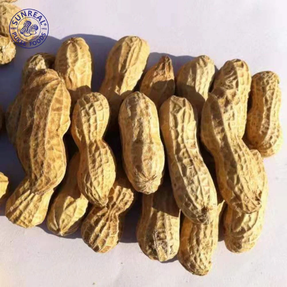 Raw Peanut Inshell /China /New Crop 9/11