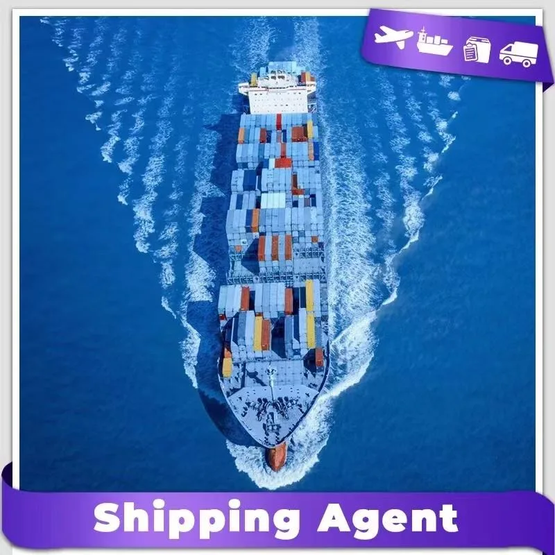 Freight Forwarder Logistics Service Cargo Rates Fba Amazon Shipping Agent in From China DDP /DDU to Germany