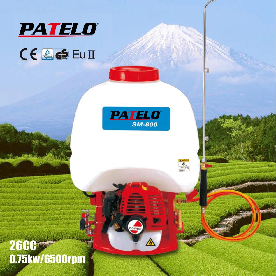 Power Sprayer with CE Approval for Garden Use (SM-800)