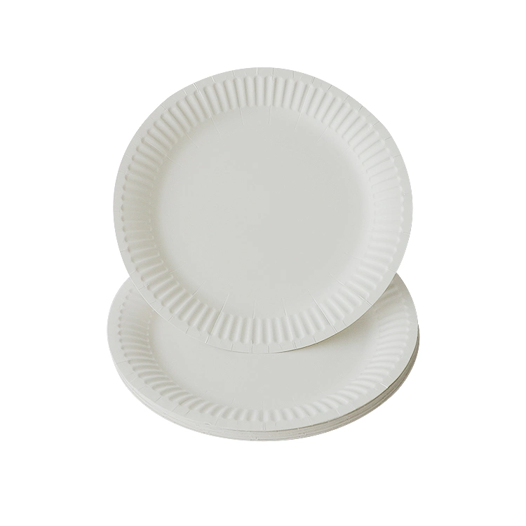 Custom Biodegradable Disposable Party White Paper Plates