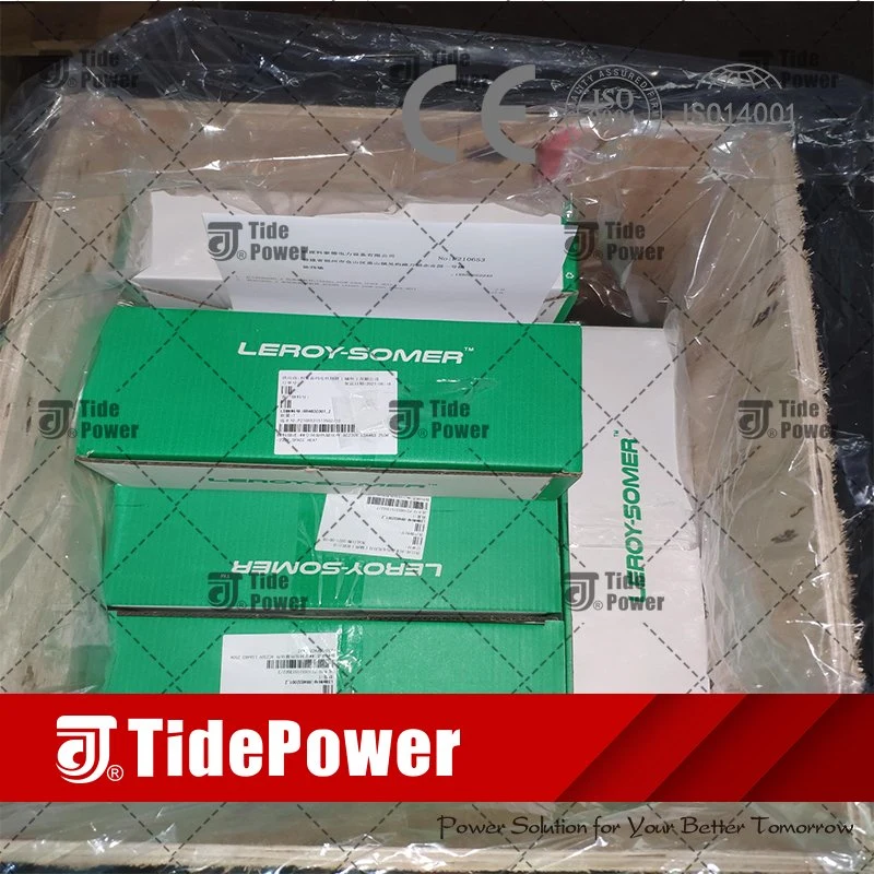 Verdadero LEROY SOMER regulador de voltaje automático AVR Nidec grupo electrógeno diesel Repuestos estabilizador de tensión del alternador R120 R150 de la AEM230re005 00040022682