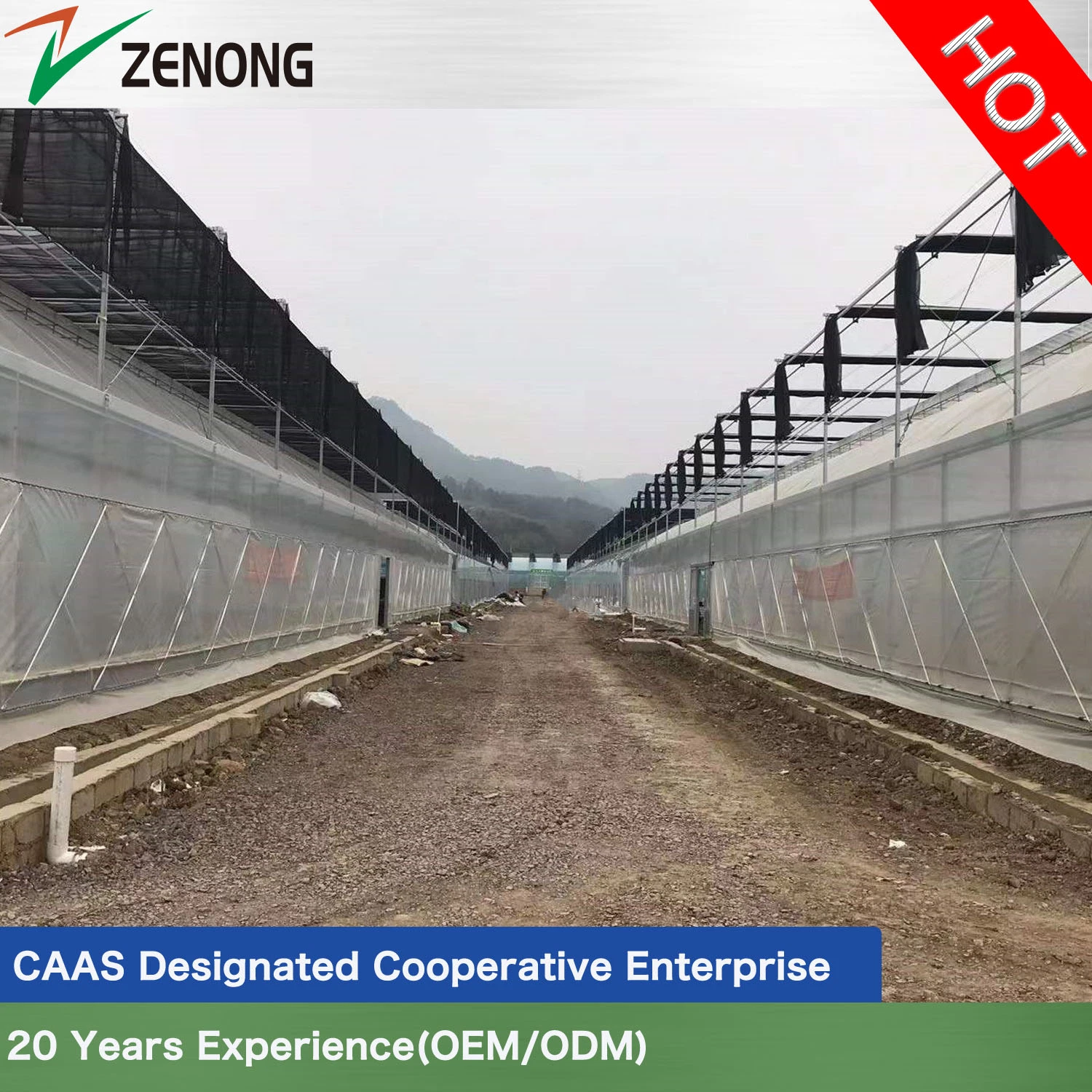 Plastic Film Greenhouse with Good Roof Ventilation and Cooling Heating System for Vertical Farming