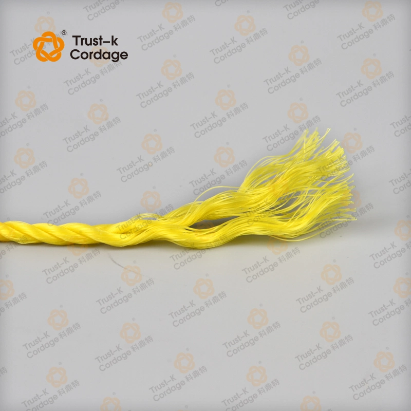 6mm Corde torsadée en polypropylène monofilamenté coloré Corde en polypropylène