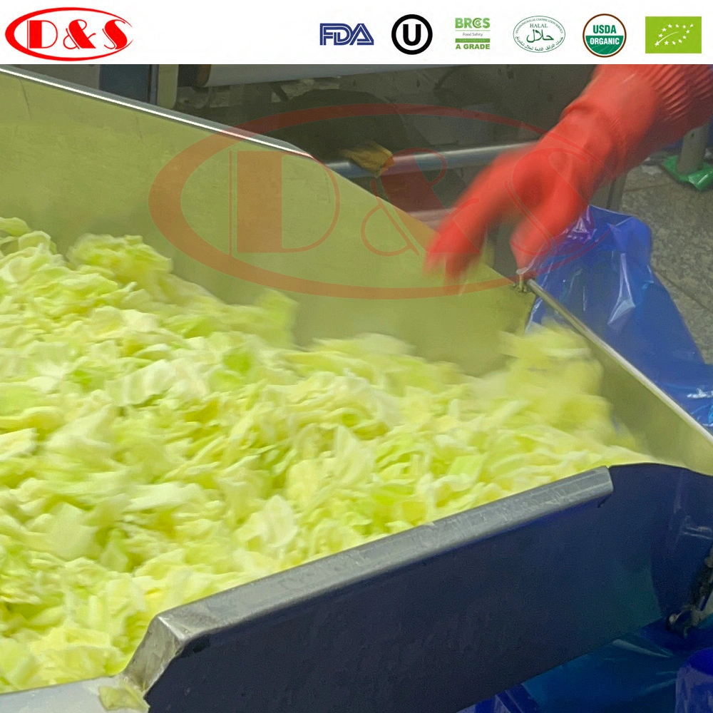 Qingdao Factory 100% All Natural Frozen Cabbage Dice with Best Price