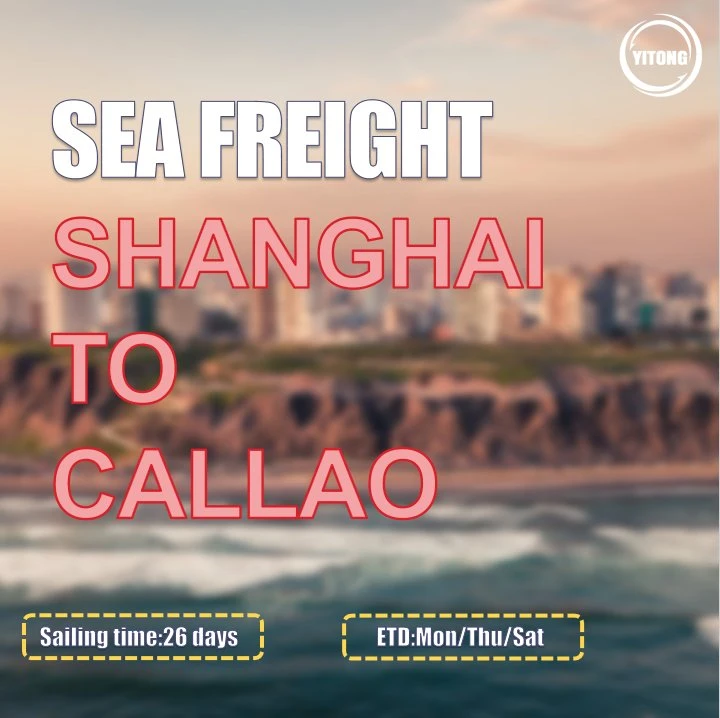 International Logistics Shipping Service From Guangzhou to Callao Peru