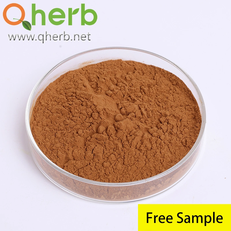 Peppermint Extract Powder 10: 1 Extract Solvent: Water