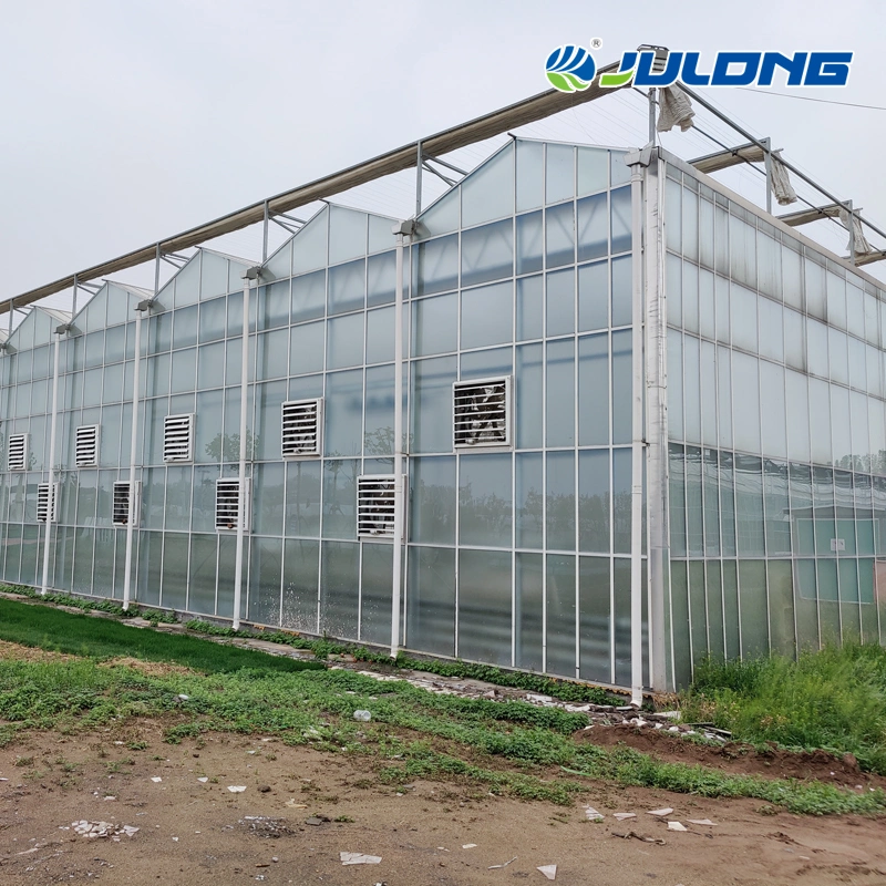 Light Steel Structure Multi Span Greenhouse with European Standards Design