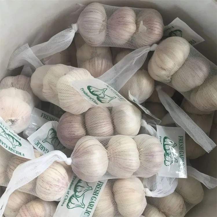 Top Quality Snow White Garlic 5.0/6.0cm China Fresh Garlic Export 2023