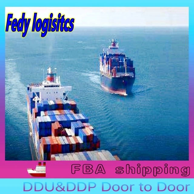 Seefracht Spediteur 20 FT 40ft 40hc 45hc Container Von China in die USA US/UK/Europa/Deutschland/Frankreich Logistikagenten Air/Ocean/Railway/Express Versand durch Amazon