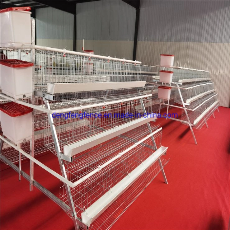 Poultry Farming Equipment a Type Layer Chicken Cage with Automatic System