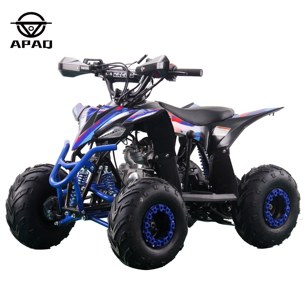 APQ ATV 110cc 6''7'' für Kinder Elektro-Start Quad 4 Räder