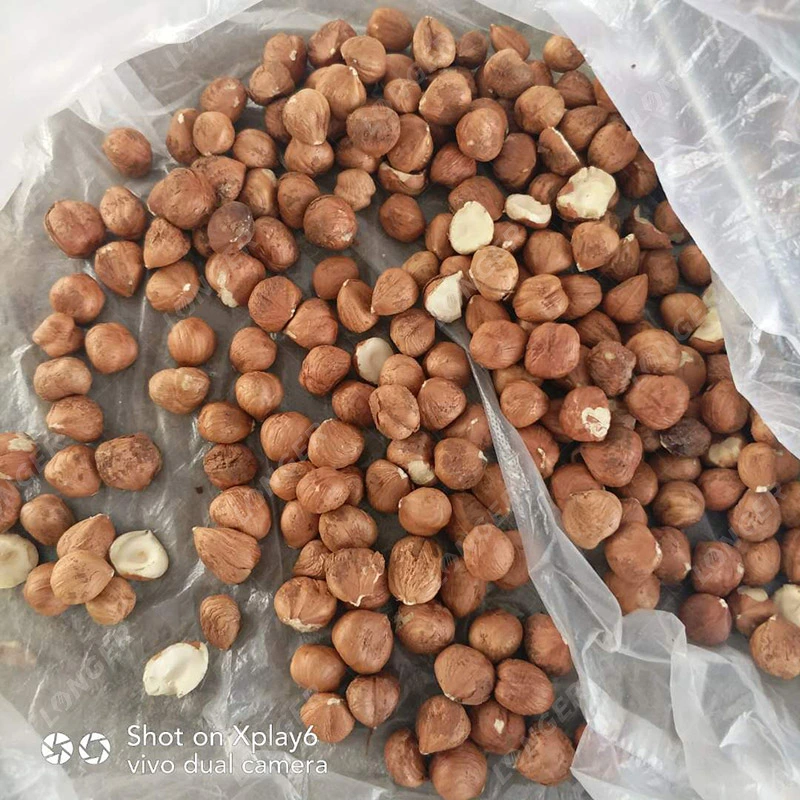 Little Tropic Almond Cracker Hazelnut Shelling and Sorting Palm Kernel Cracker and Separating Machine
