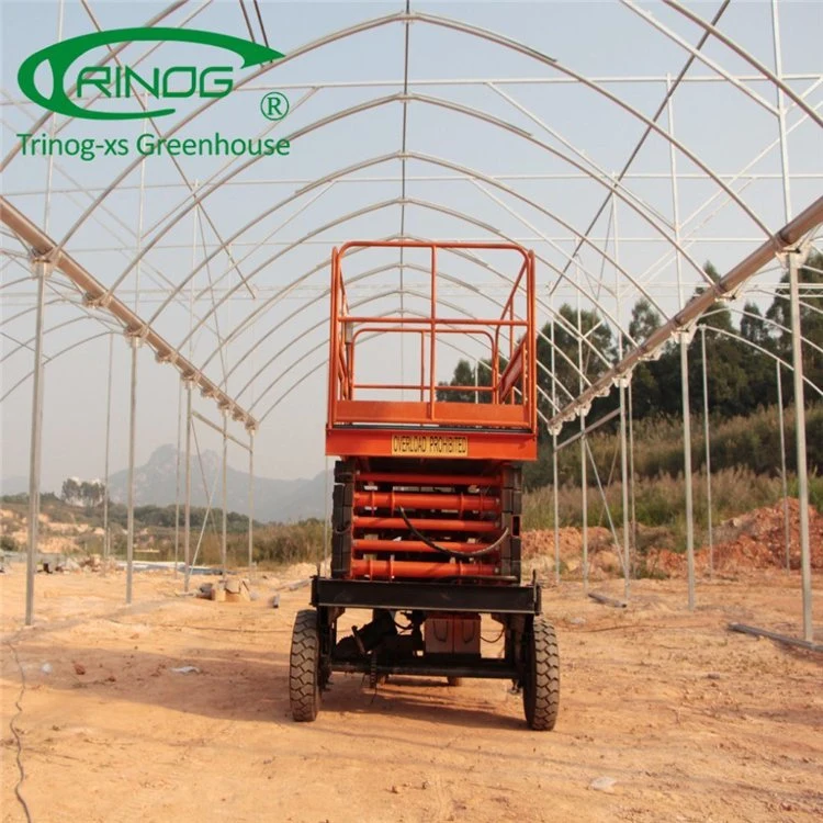 Low Price Agricultural Multi-span Film Greenhouse for Sale