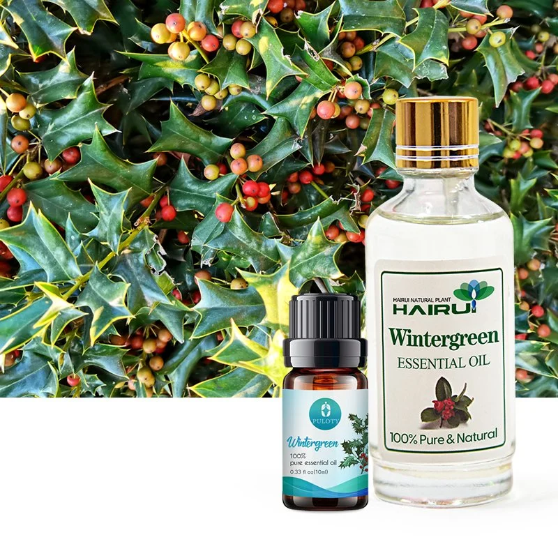 Wintergreen эфирного масла природных растительных ароматов для зубной пасты Mouthwash Gargle Wintergreen десен масла