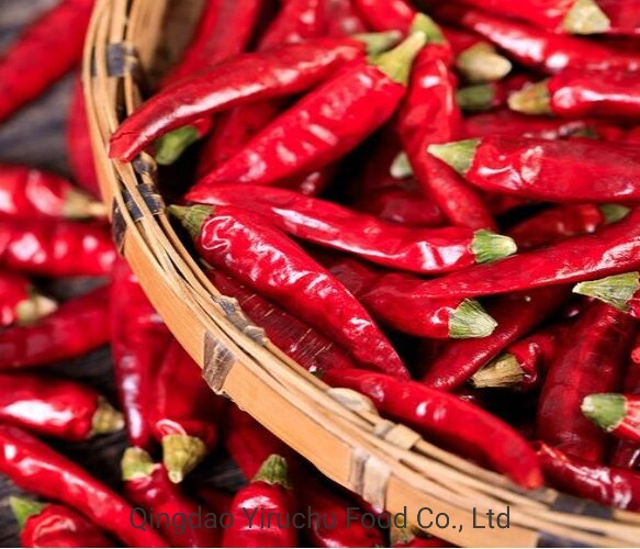 Hot Selling Dry Chilli/Chaotian Chilli in China