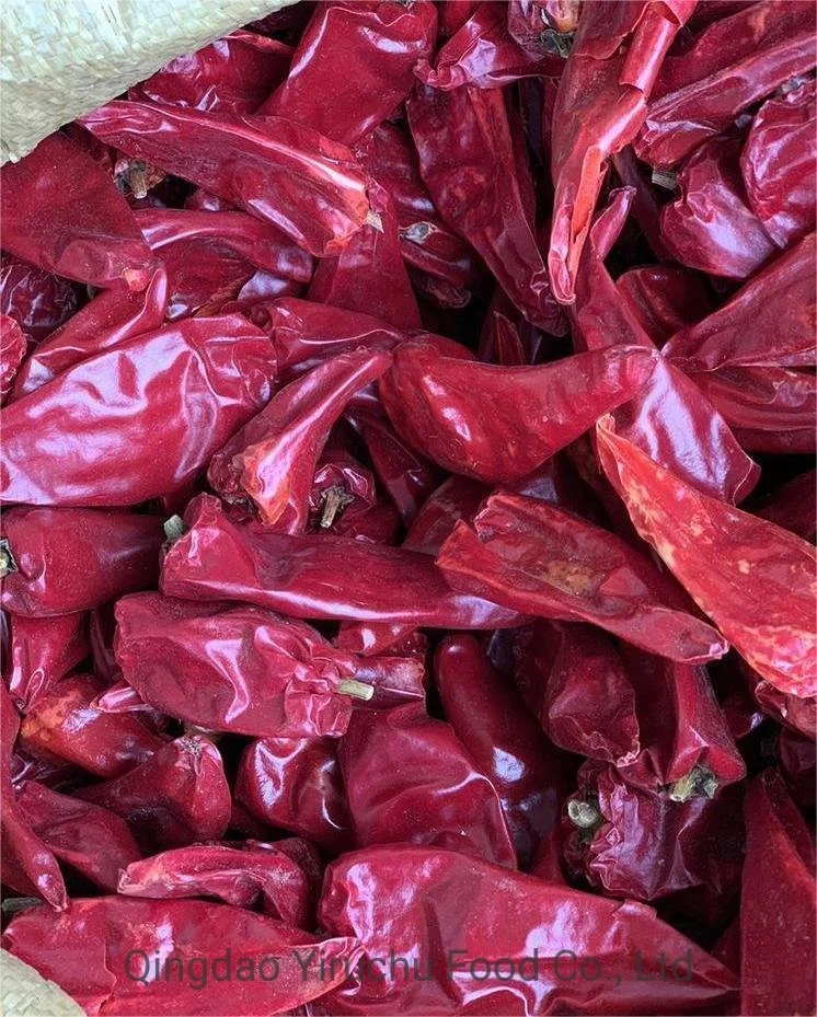 China Paprika Chilli Factory Supply Dried Chili Peppers