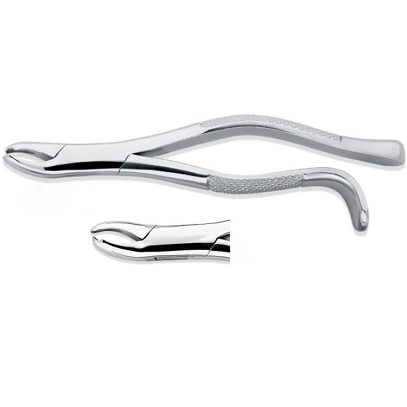 Stainless Steel Dental Examination Surgical Tools Dental Instruments Forceps
