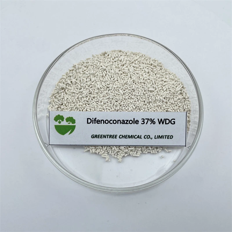 CAS No. 119446-68-3 Fungicide 37%Wdg Difenoconazole Products