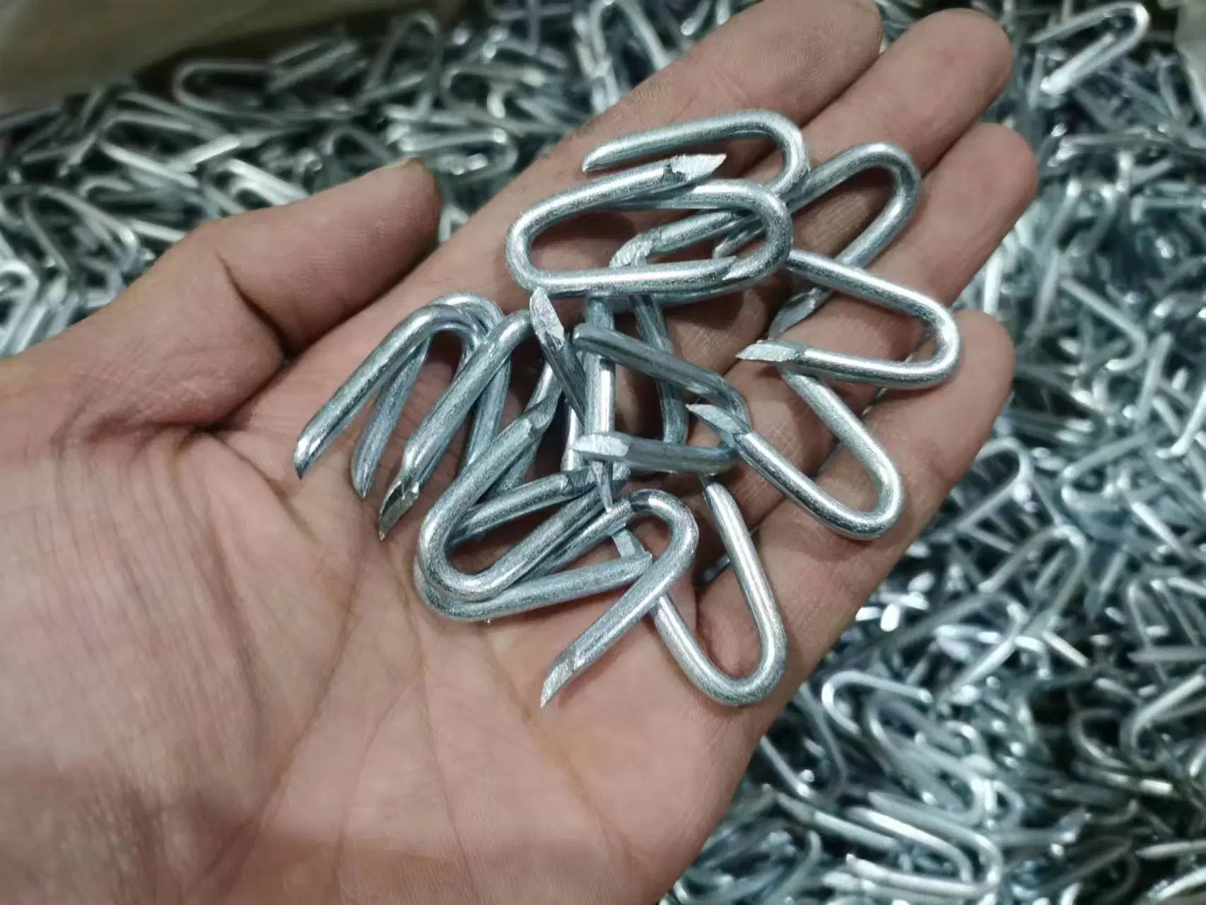 Galvanized Nail Manufacture U Fence Staples with Cheap Price