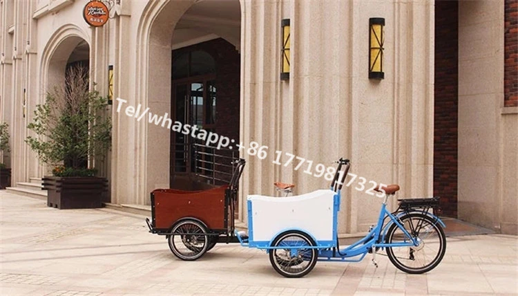 Three Wheels Electric Cargo Bike Family Adult Tricycle Outdoor Food Vending Cart