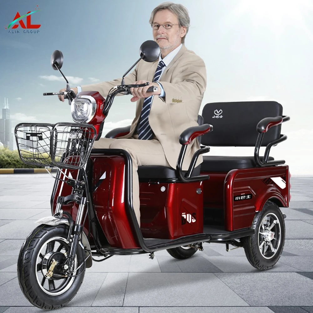 Al-A9 500W Differiential Trike de roue du moteur 3 pour les adultes ce transporteur de passagers et de fret