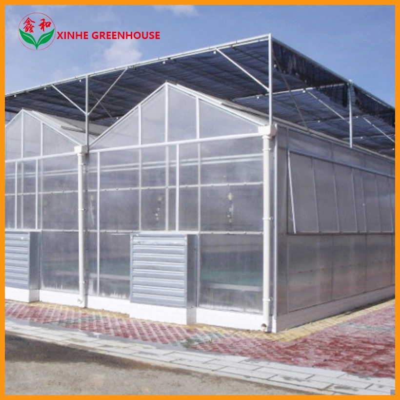 Polycarbonate Greenhouse Use for Commercial Vertical Farming