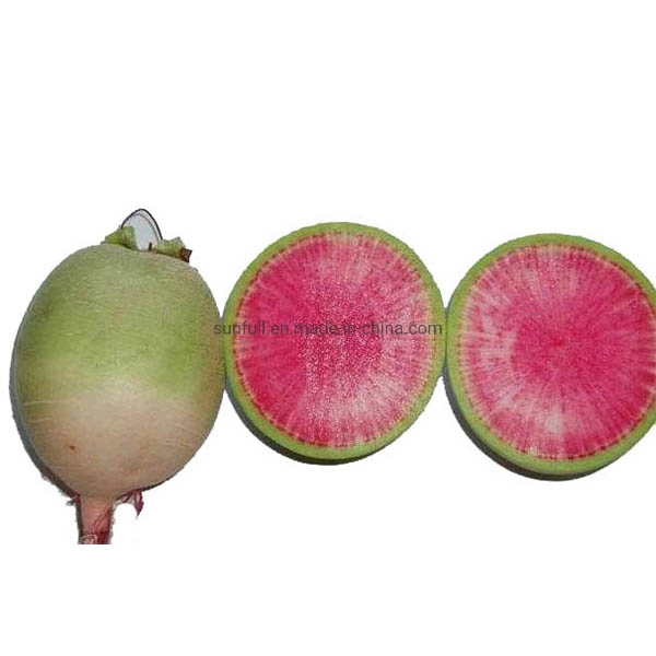 Radish Red Pigment Raphanus Sativus L Color Value: E10~90