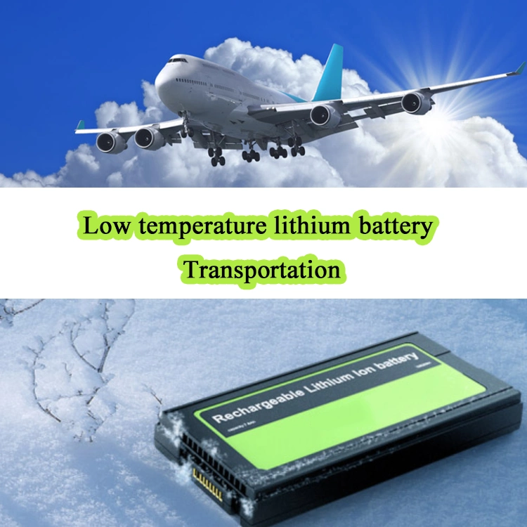 Cargo Express Post Shipping DDP Shipping Liquid Battery Price to USA