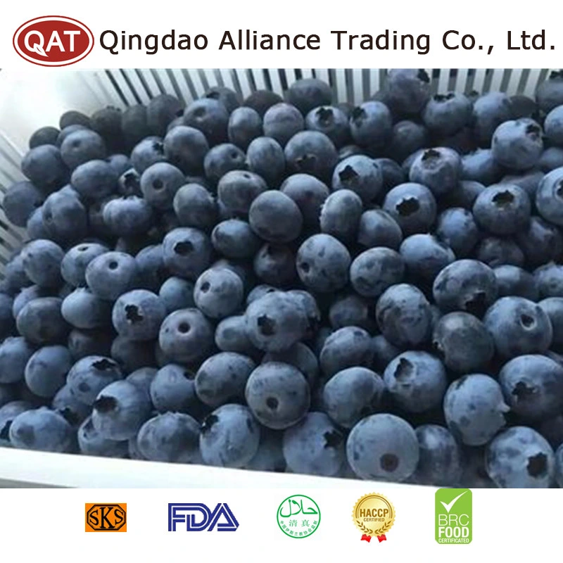 Natural Organic Frozen Blueberry with Good Price IQF and Brc Certificate