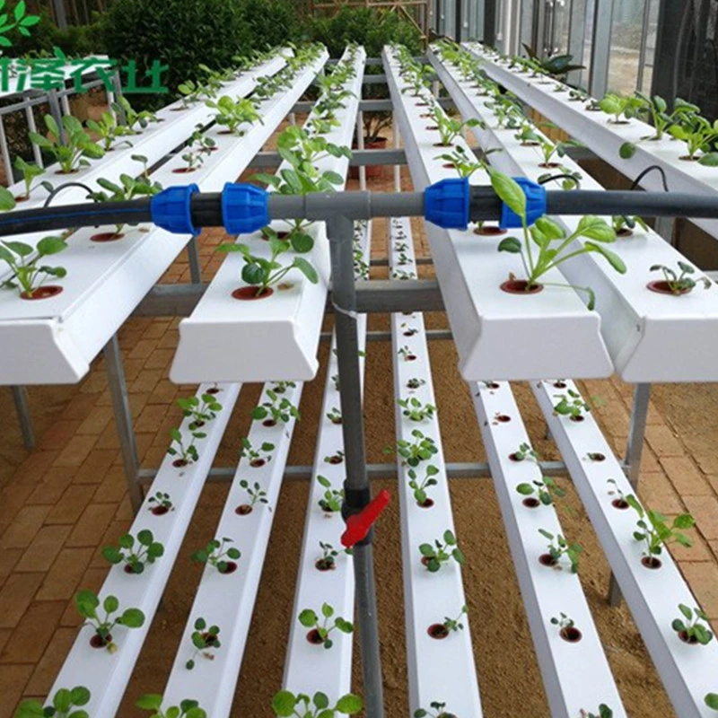 Indoor Hydroponics System Factory Sale for Flower/Vegetable/Fruit/Planting/Farm/Aquaculture